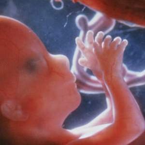 trimester ketiga kehamilan