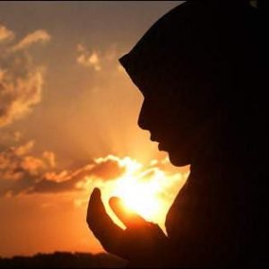 Susu Anmum untuk Kehamilan