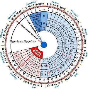 cara menghitung masa subur wanita