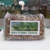 obat penyubur kandungan tradisional