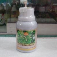 vitamin penyubur kandungan