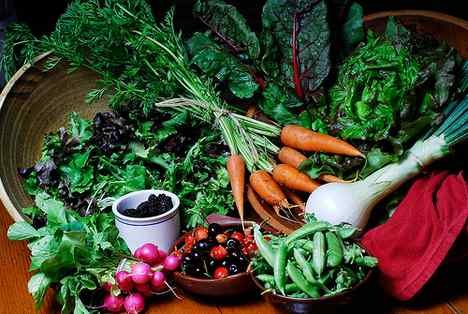 Sayuran Penyubur Rahim