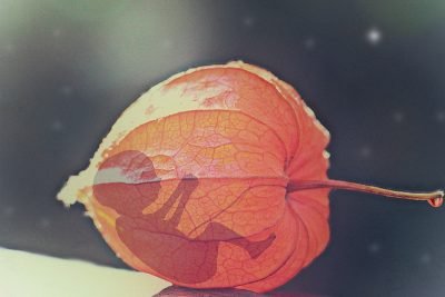 Tips Berhubungan Yang Baik Agar Cepat Mengandung Setelah Menikah